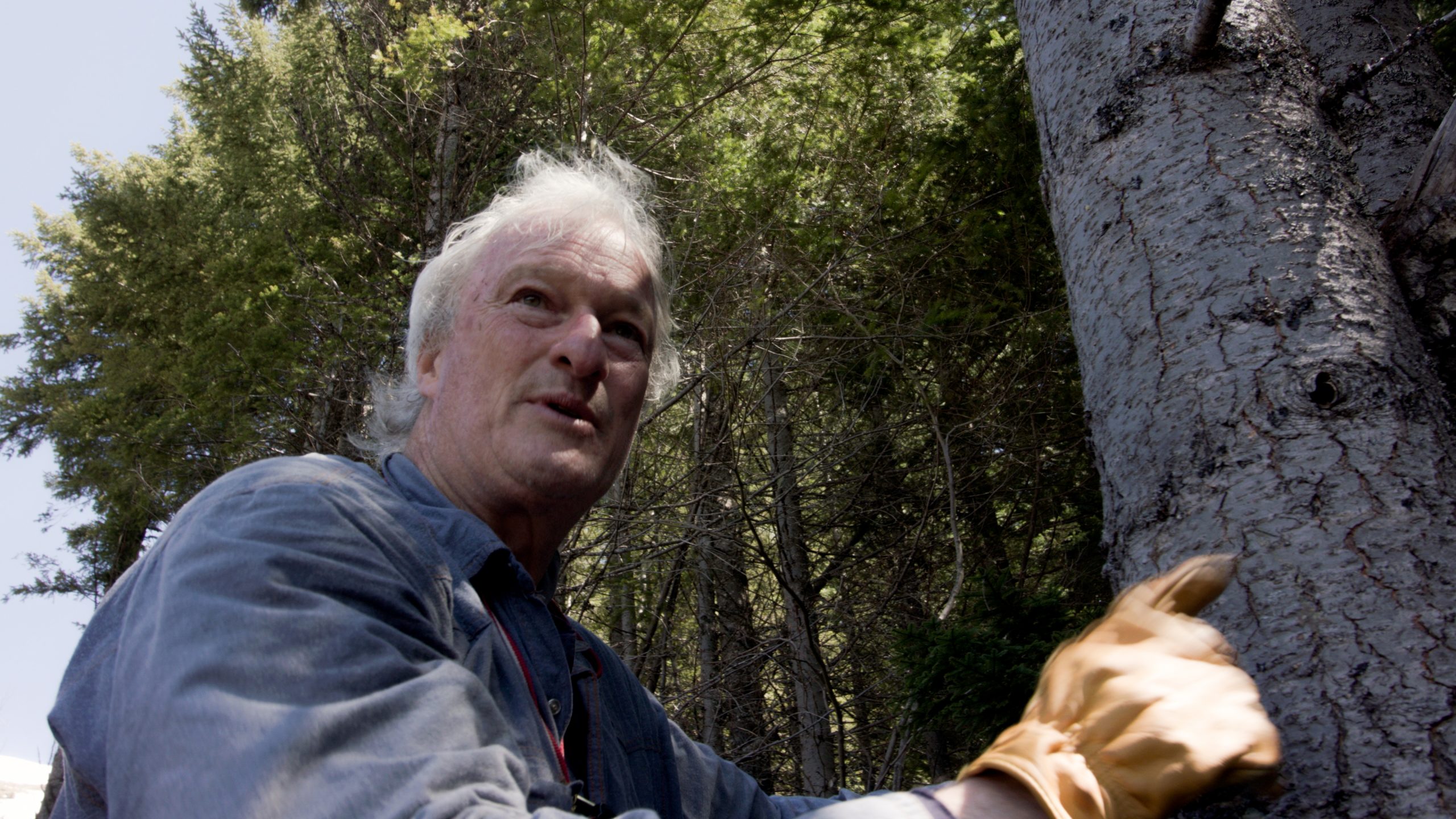 Hunting Bigfoot Still 19